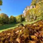 La Verna: Hike in the Fairy Forest and Monte Penna - The Sacred Sanctuary of La Verna