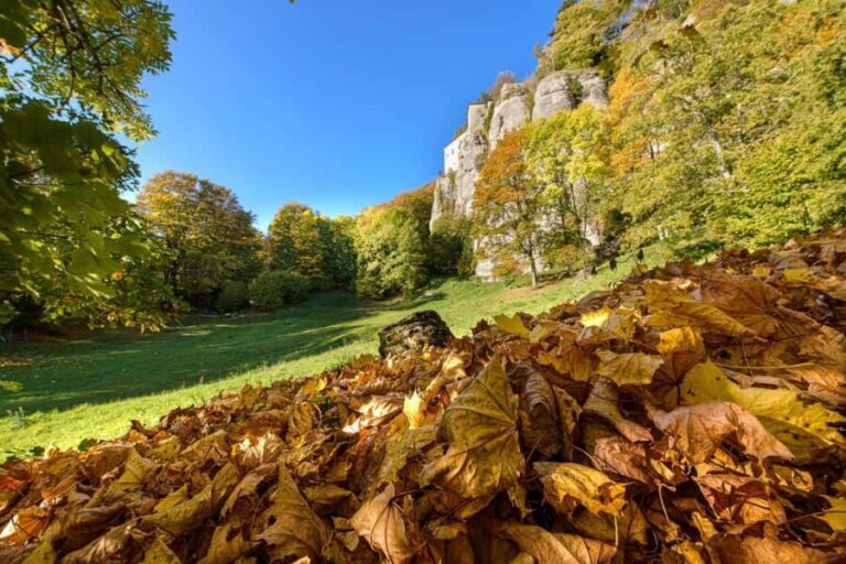 La Verna: Hike in the Fairy Forest and Monte Penna - The Sacred Sanctuary of La Verna