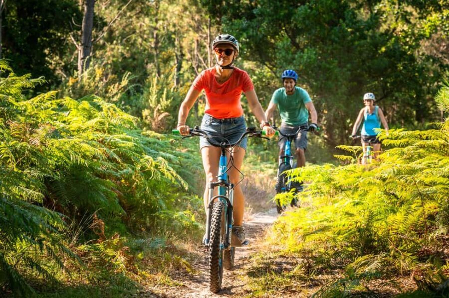 Labenne: guided forest tour with an instructor on an electric scooter - The Itinerary and What to Expect