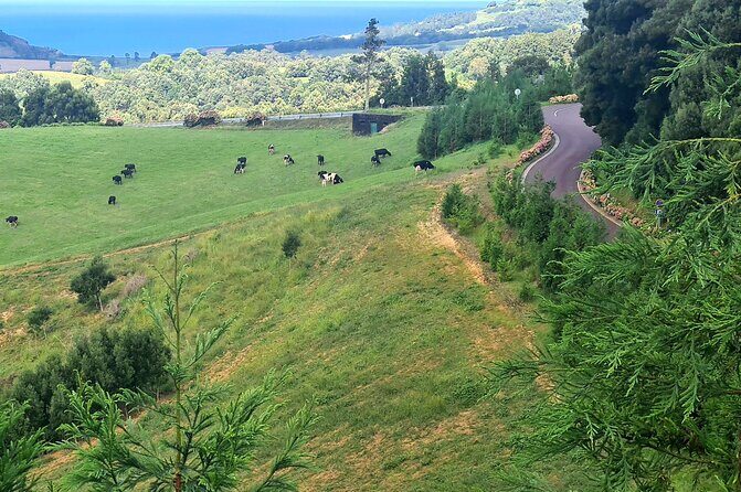 Lagoa do Fogo and Ribeira Grande Half Day Private Tour - What Travelers Love (and What to Keep in Mind)