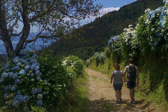 Lagoa do Fogo Trail Full-Day Walking Tour with Lunch - A Closer Look at the Lagoa do Fogo Full-Day Tour