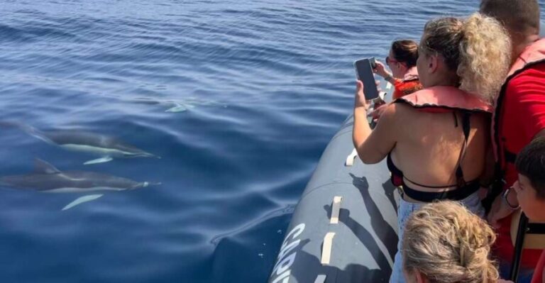 Lagoa: Dolphins Expedition with biologist guide on board - The Itinerary in Detail