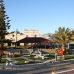 Lagoa: Guided Winery Tour and Local Wine Tasting - Practical Tips for Your Visit