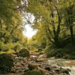 Lagodekhi - A day hiking from Tbilisi - Practical Details and What They Mean for You