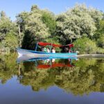 Lagoon Adventure: Jungle, Turtle Release & Cliff Diving Spectacle - Final Thoughts