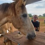 Lagos: A walk with a rescued horse at the sanctuary - What to Expect from the Tour