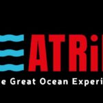 Lagos: Dolphin & Benagil Tour with Marine Biologist - Who Will Love This Tour?