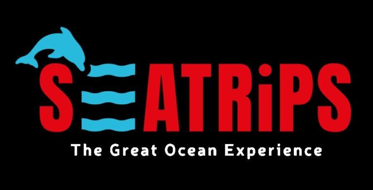 Lagos: Dolphin & Benagil Tour with Marine Biologist - Who Will Love This Tour?