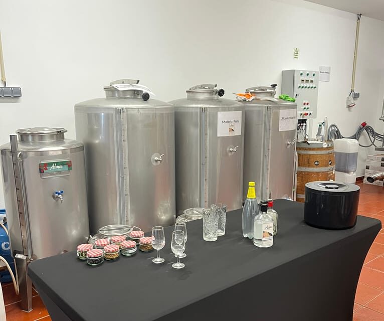 Lagos: Guided Gin Distillery Tour With Tasting at Alma Luz - Why This Tour Works Well