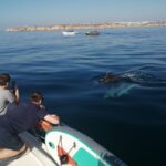 Lagos: Luxury Yacht Charter with Drinks & Tapas - The Experience in Detail