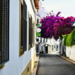 Lagos to Sagres Coastline & City Private Guided Tour - What’s Included and What to Expect