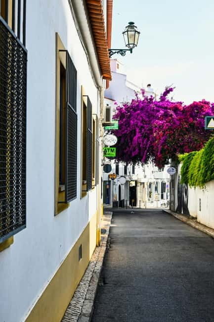 Lagos to Sagres Coastline & City Private Guided Tour - What’s Included and What to Expect