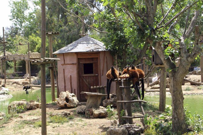 Lagos Zoo Admission Ticket - Practical Tips for Visiting Lagos Zoo