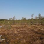Lahti: Guided Nature Walk The Heart of The Swamp - The Guide and Group Dynamic