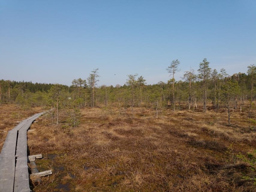 Lahti: Guided Nature Walk The Heart of The Swamp - The Guide and Group Dynamic