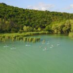 Lake Balaton: Paddle Board Tour of Tihany National Park - What to Expect on the Tour