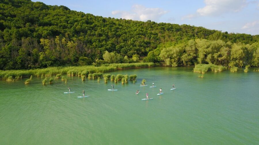 Lake Balaton: Paddle Board Tour of Tihany National Park - What to Expect on the Tour