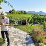 Lake Balaton private wine tasting and sightseeing from Budapest - Who is This Tour Best For?