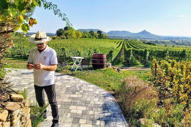 Lake Balaton private wine tasting and sightseeing from Budapest - Who is This Tour Best For?