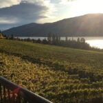 Lake Country 5Hour 5 Winery Tour - FAQ