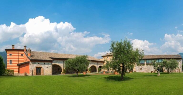 Lake Garda: Garda Hills Wine Tour and Tasting - The Experience From a Traveler’s Perspective