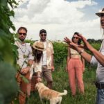 Lake Garda: Pic Nic in the vineyard with wine tasting - Practical Details