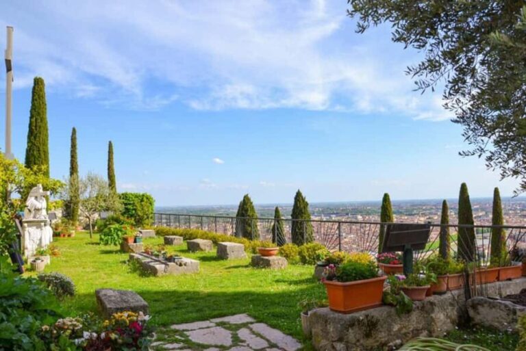 Lake Garda & Verona: Sirmione private cruise, viewpoint stop - Transportation and Logistics