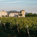 LAKE GARDA: VINEYARD AND WINERY TOUR - Exploring the Lake Garda Vineyard and Winery Tour in Detail