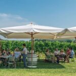 Lake Garda: Wine and Food Tastings in the Vineyards - Value for Money and Practicalities