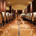 Lake Garda: Wine Tour and Tasting Experience in Bardolino - A Final Word on the Experience