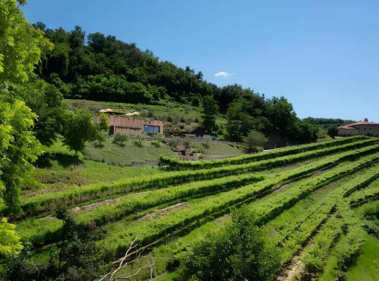 Lake Garda: Winery Tour and Wine Tasting in Valpolicella - Who Should Consider This Tour?