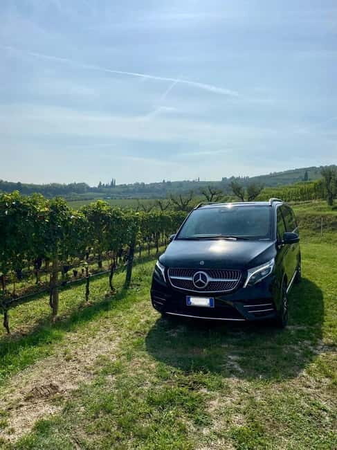 Lake Garda: Winery Visit with Wine and Olive Oil Tasting - What’s Included & How It Feels