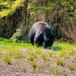 Lake Louise and Moraine Lake Exclusive Evening Private Tour - Who Should Consider This Tour?