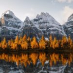 Lake Louise, Emerald Lake and Johnston Canyon Tour - What’s Included and What’s Not