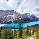 Lake Louise, Moraine Lake, Peyto Lake, Crowfoot Tour from Banff - The Downsides and Considerations