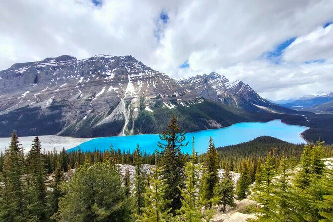 Lake Louise, Moraine Lake, Peyto Lake, Crowfoot Tour from Banff - The Downsides and Considerations