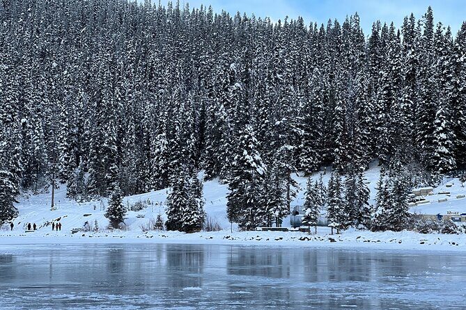 Lake Louise, Moraine Lake, Peyto Lake, Crowfoot Tour from Calgary - Authentic Traveler Experiences