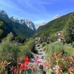 Lake Molveno Honey and Liqueur Tastings - Practical Tips and What to Expect