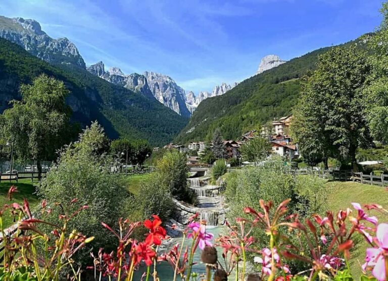 Lake Molveno Honey and Liqueur Tastings - Practical Tips and What to Expect