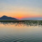 Lake Skadar Sunrise Private Tour With Guide - Practical Details and Tips