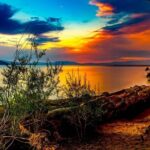 Lake Tahoe Small-Group Photography Scenic Half-Day Tour - What Makes This Tour Special?