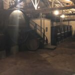 Lamego: Quinta da Portela de Baixo Winery Tour and Tasting - A Closer Look at the Quinta da Portela de Baixo Experience