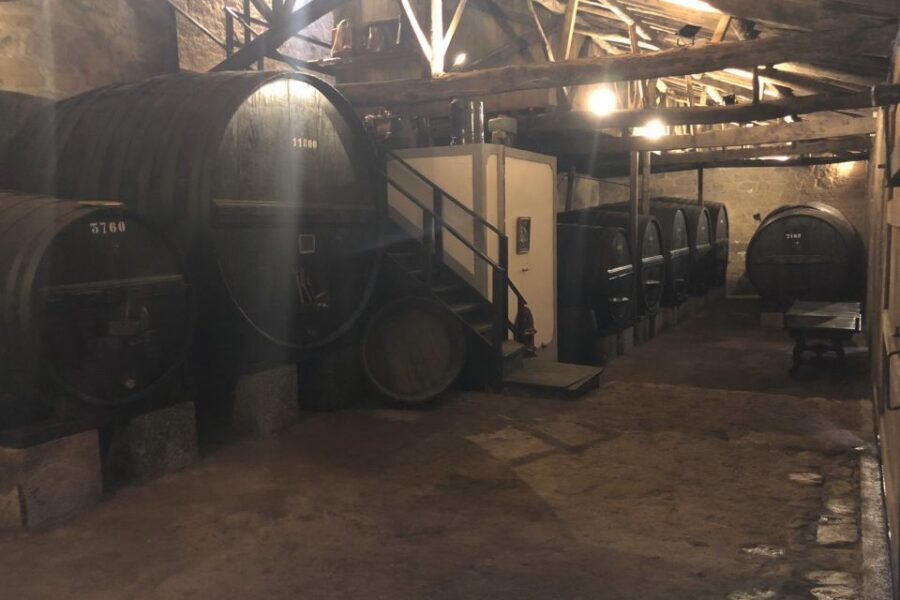 Lamego: Quinta da Portela de Baixo Winery Tour and Tasting - A Closer Look at the Quinta da Portela de Baixo Experience