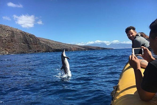 Lanai Deluxe Dolphin Adventure & 3 Snorkel Sites - What to Keep in Mind