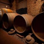 Langhe & Monferrato: Vineyard Tour and Wine Tasting - Practical Details