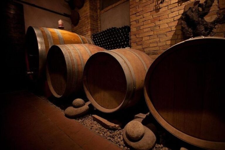 Langhe & Monferrato: Vineyard Tour and Wine Tasting - Practical Details