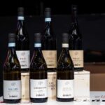 Langhe: wine tasting in the cellar and a tour of the UNESCO heritage vineyards - Key Points