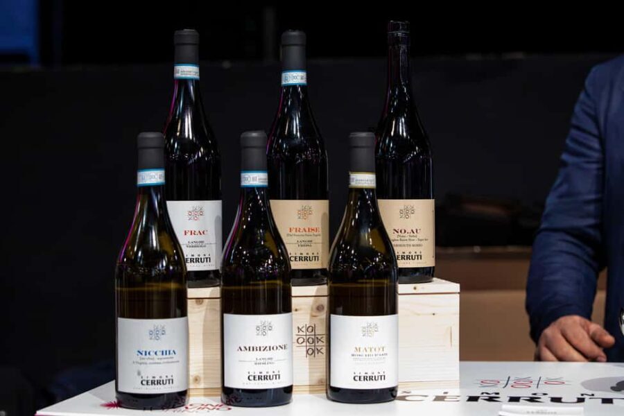 Langhe: wine tasting in the cellar and a tour of the UNESCO heritage vineyards - Key Points