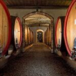 Langhe: Winery Tour and Wine Tasting - Key Points