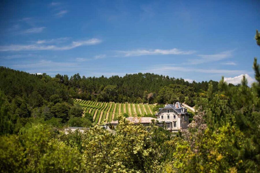 Languedoc: Terroir Tour & Tasting at Domaine de Baronarques - Is It Worth the Price?